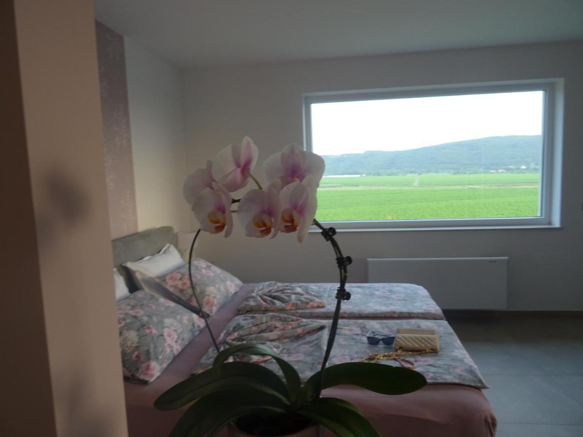 Val&Sol Apartments Sečovlje Eksteriør bilde