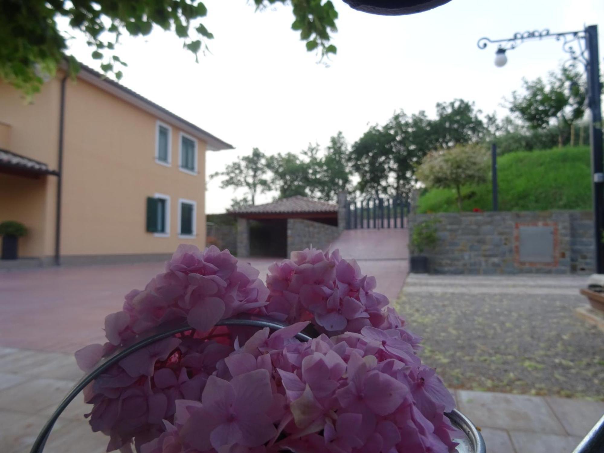 Val&Sol Apartments Sečovlje Eksteriør bilde